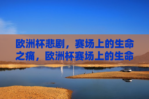 欧洲杯悲剧，赛场上的生命之痛，欧洲杯赛场上的生命之痛，欧洲杯赛场上的悲剧，生命之痛