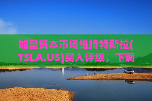 加皇资本市场维持特斯拉(TSLA.US)买入评级，下调目标价至227美元