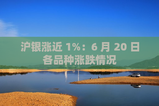 沪银涨近 1%：6 月 20 日各品种涨跌情况