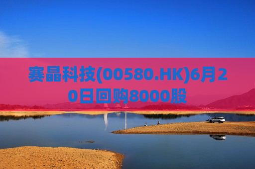 赛晶科技(00580.HK)6月20日回购8000股  第1张