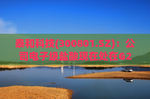 泰和科技(300801.SZ)：公司电子级盐酸现在处在G2标准，正在改造以符合G4或G5标准