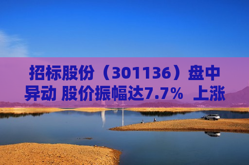 招标股份（301136）盘中异动 股价振幅达7.7%  上涨6.82%（06-19）