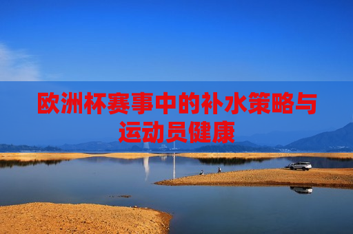 欧洲杯赛事中的补水策略与运动员健康