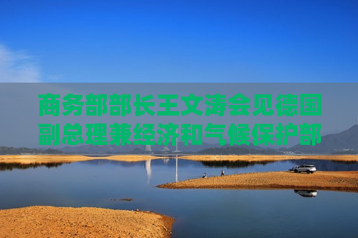 商务部部长王文涛会见德国副总理兼经济和气候保护部部长哈贝克  第1张