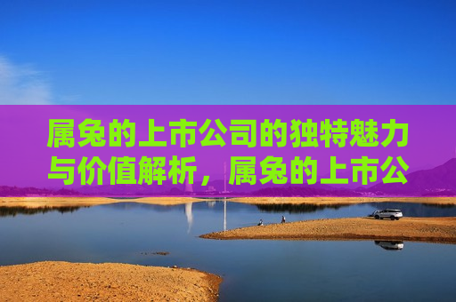 属兔的上市公司的独特魅力与价值解析，属兔的上市公司的独特魅力与价值探索，属兔的上市公司的独特魅力与价值解析  第1张