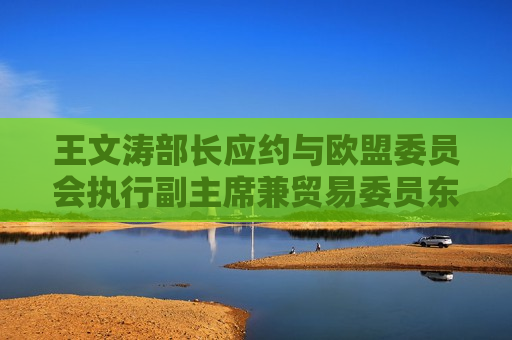 王文涛部长应约与欧盟委员会执行副主席兼贸易委员东布罗夫斯基斯举行视频会谈