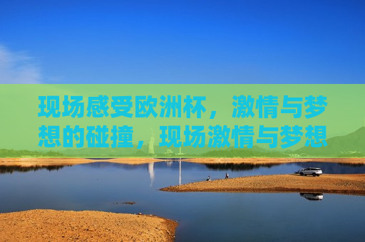 现场感受欧洲杯， *** 与梦想的碰撞，现场 *** 与梦想交织，欧洲杯盛况， *** 与梦想交织，欧洲杯盛况现场  第1张