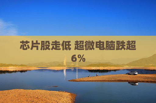 芯片股走低 超微电脑跌超6%  第1张