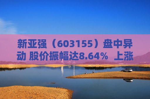 新亚强（603155）盘中异动 股价振幅达8.64%  上涨6.43%（06-25）