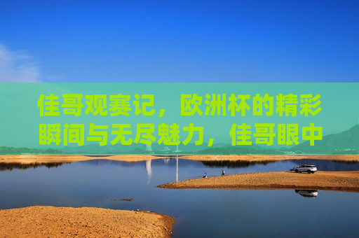 佳哥观赛记，欧洲杯的精彩瞬间与无尽魅力，佳哥眼中的欧洲杯，精彩瞬间与无尽魅力，佳哥眼中的欧洲杯，精彩瞬间与无尽魅力