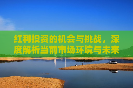 红利投资的机会与挑战，深度解析当前市场环境与未来趋势，红利投资的机会与挑战，市场环境与未来趋势解析