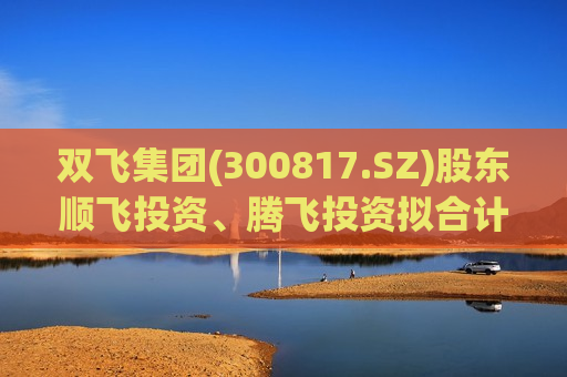 双飞集团(300817.SZ)股东顺飞投资、腾飞投资拟合计减持不超290万股
