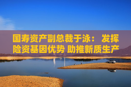 国寿资产副总裁于泳： 发挥险资基因优势 助推新质生产力发展