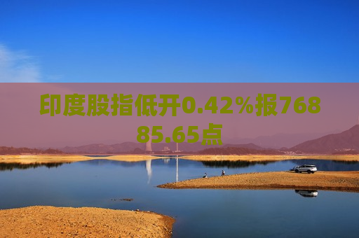 印度股指低开0.42%报76885.65点