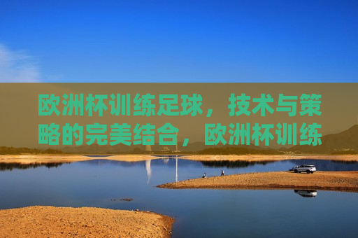 欧洲杯训练足球，技术与策略的完美结合，欧洲杯训练足球，技术与策略的巅峰融合，欧洲杯训练足球，技术与策略的巅峰融合