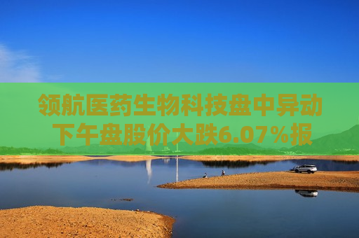 领航医药生物科技盘中异动 下午盘股价大跌6.07%报0.232港元