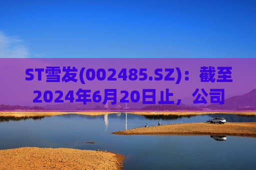 ST雪发(002485.SZ)：截至2024年6月20日止，公司的股东户数为6150户