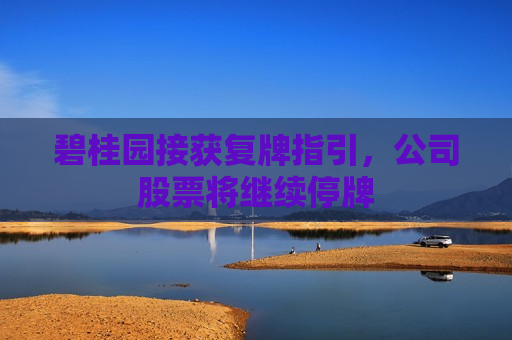 碧桂园接获复牌指引，公司股票将继续停牌
