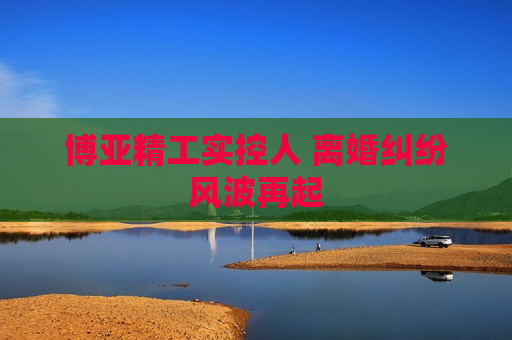 博亚精工实控人 离婚纠纷风波再起  第1张