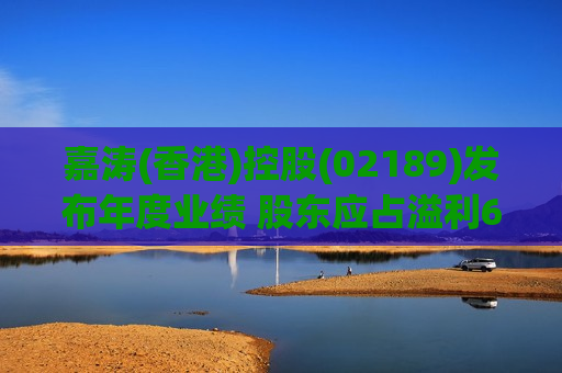 嘉涛(香港)控股(02189)发布年度业绩 股东应占溢利6418.5万港元 同比减少49.12%  第1张