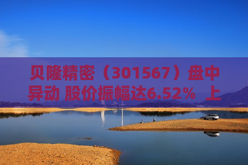 贝隆精密（301567）盘中异动 股价振幅达6.52%  上涨6.98%（06-26） 第1张