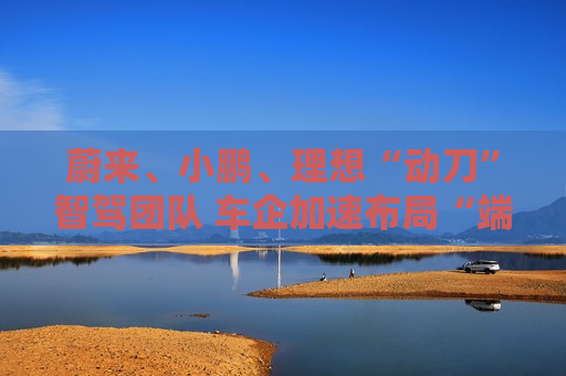 蔚来、小鹏、理想“动刀”智驾团队 车企加速布局“端到端”技术  第1张