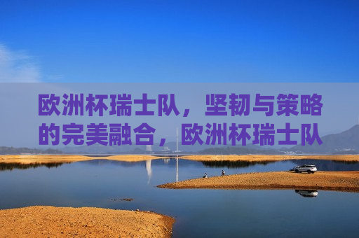 欧洲杯瑞士队，坚韧与策略的完美融合，欧洲杯瑞士队，坚韧与策略的典范，欧洲杯瑞士队，坚韧与策略的典范