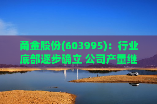 甬金股份(603995)：行业底部逐步确立 公司产量继续增长