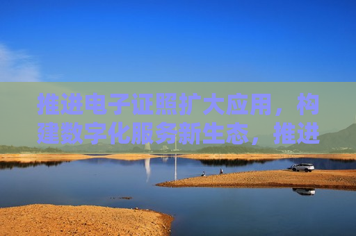 推进电子证照扩大应用，构建数字化服务新生态，推进电子证照应用，构建数字化服务新生态，推进电子证照应用，共建数字化服务新生态