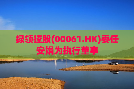 绿领控股(00061.HK)委任安娟为执行董事