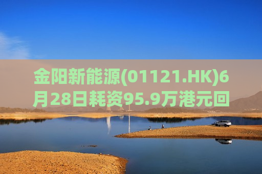 金阳新能源(01121.HK)6月28日耗资95.9万港元回购26.6万股