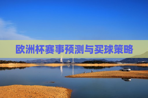 欧洲杯赛事预测与买球策略