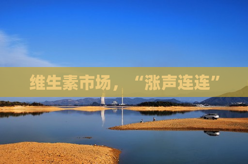 维生素市场，“涨声连连”