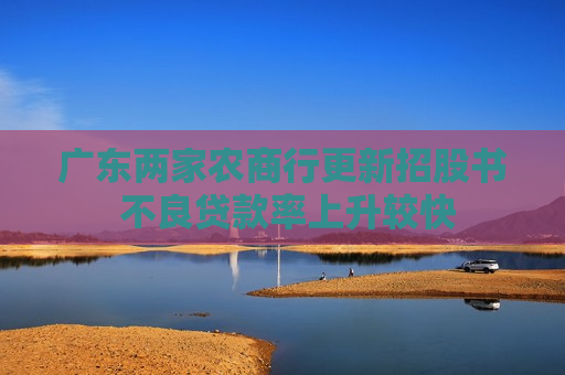 广东两家农商行更新招股书 不良贷款率上升较快