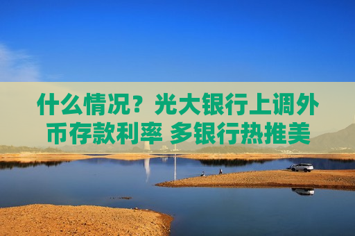 什么情况？光大银行上调外币存款利率 多银行热推美元存款 专家提示汇率风险需警惕