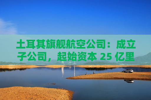 土耳其旗舰航空公司：成立子公司，起始资本 25 亿里拉