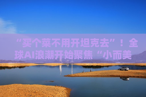 “买个菜不用开坦克去”！全球AI浪潮开始聚焦“小而美”  第1张