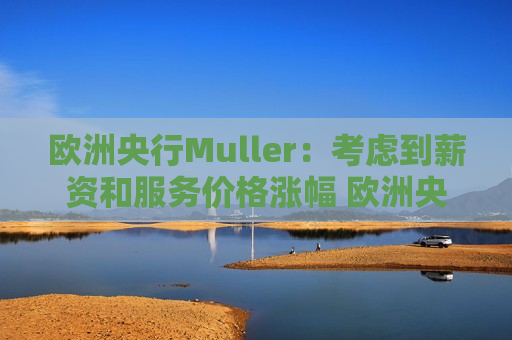 欧洲央行Muller：考虑到薪资和服务价格涨幅 欧洲央行不能急于降息