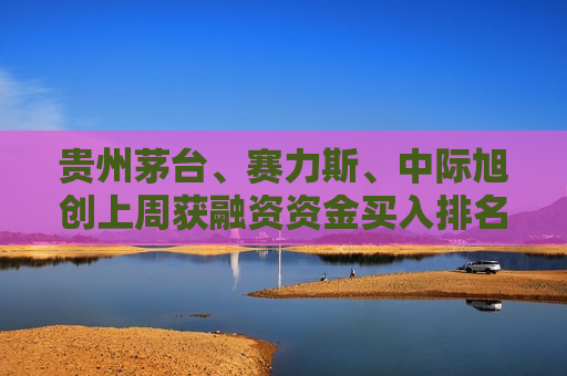 贵州茅台、赛力斯、中际旭创上周获融资资金买入排名前三，贵州茅台获买入超22亿元