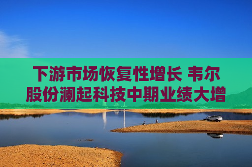 下游市场恢复性增长 韦尔股份澜起科技中期业绩大增  第1张