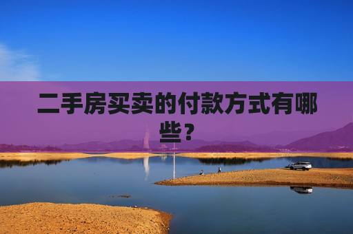 二手房买卖的付款方式有哪些？
