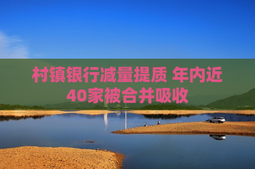 村镇银行减量提质 年内近40家被合并吸收  第1张