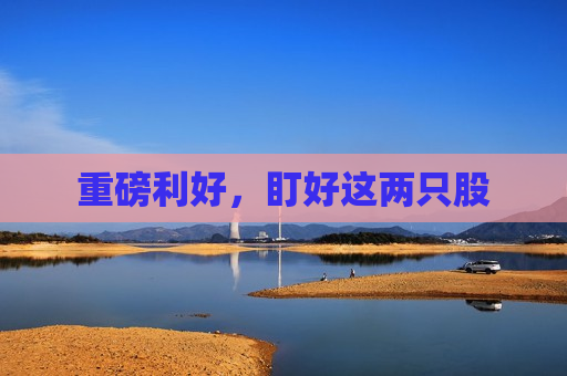重磅利好，盯好这两只股  第1张