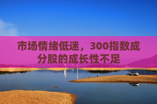 市场情绪低迷，300指数成分股的成长性不足