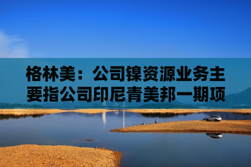 格林美：公司镍资源业务主要指公司印尼青美邦一期项目生产的氢氧化镍（MHP）产品  第1张