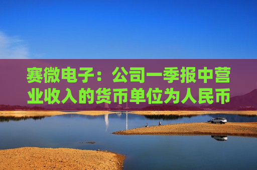 赛微电子：公司一季报中营业收入的货币单位为人民币，瑞典公司发行认股权证公告中提及的营业收入的货币单位为瑞典克朗，两者货币单位存在差异  第1张