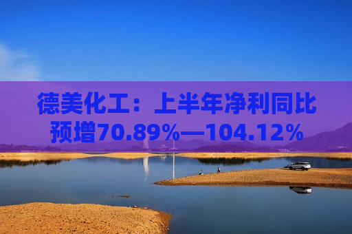 德美化工：上半年净利同比预增70.89%―104.12%  第1张