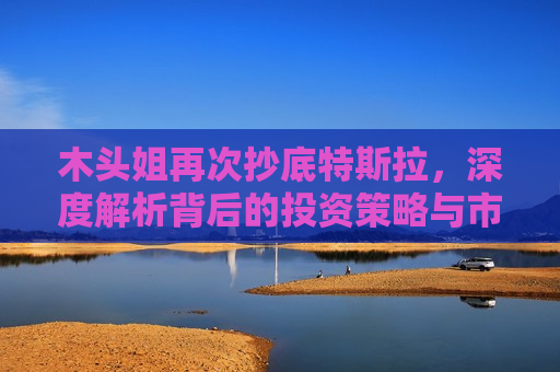 木头姐再次抄底特斯拉，深度解析背后的投资策略与市场逻辑，木头姐再度抄底特斯拉，揭秘投资策略与市场逻辑，揭秘木头姐再度抄底特斯拉的投资策略与市场逻辑  第1张