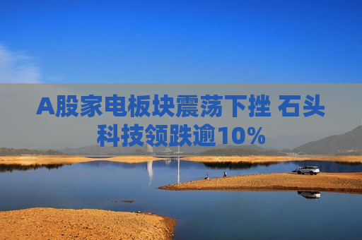 A股家电板块震荡下挫 石头科技领跌逾10%  第1张