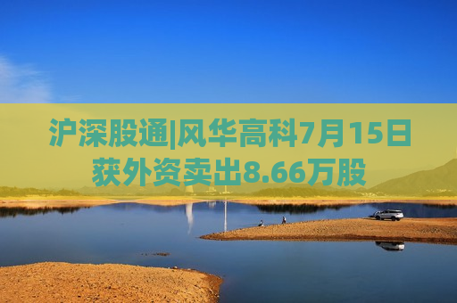 沪深股通|风华高科7月15日获外资卖出8.66万股  第1张